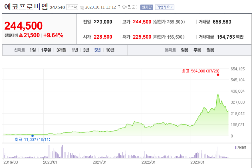 에코프로비엠-주가