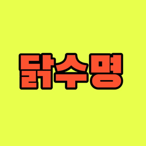 닭수명