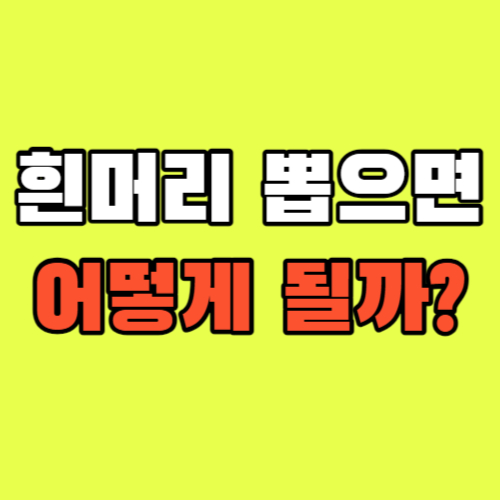 흰머리뽑으면-어떻게될까?